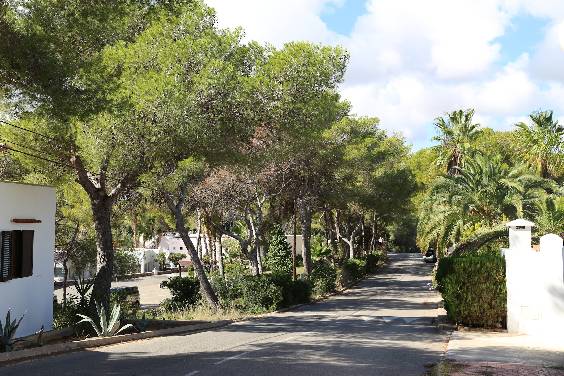 siedlung_cala_llenya